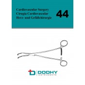 44 - Cardiovascular Surgery